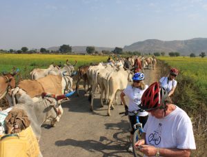 aravali cycling trails